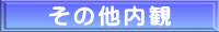 ̑